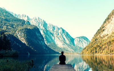 The Fundamentals Of The High Performing Business Roadmap